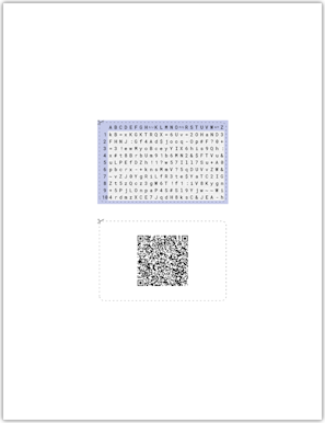Password card print preview